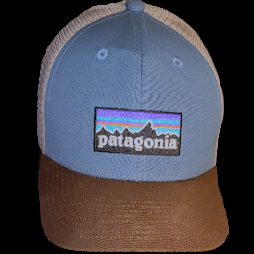 Patagonia Baseball Cap